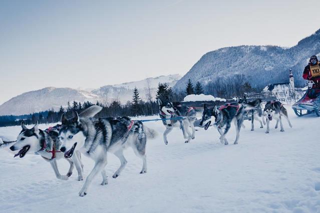 Zu Hause In Tirol Βίλα Kirchbichl Εξωτερικό φωτογραφία